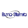 Buma Stemra